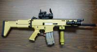 scar1